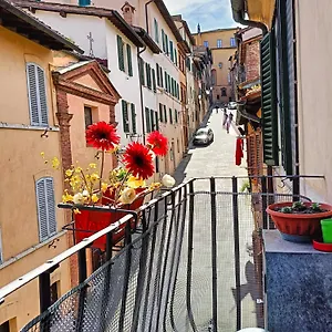 La Campanina-nel Cuore Di E Della Contrada , Siena Italia